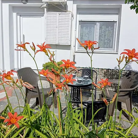 Anatoli's House * Kastoria